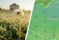 Nadciąga arktyczny powiew. Wiemy, gdzie będzie najzimniej