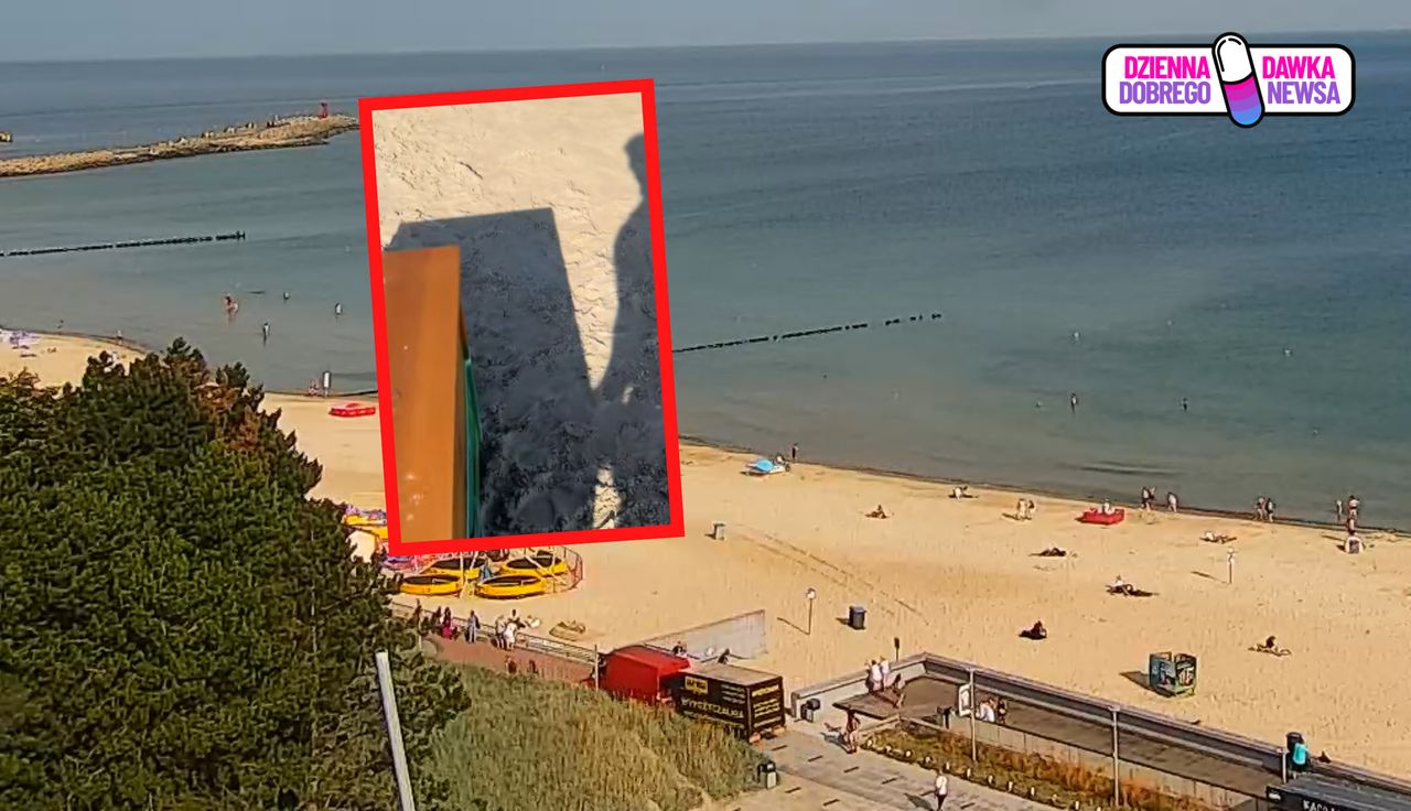 Stanęły na plaży w Kołobrzegu. "Mega pomysł"
