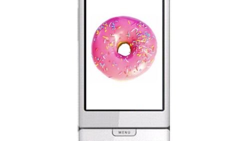 Adobe Flash w Androidzie 2.0 "Donut" 1