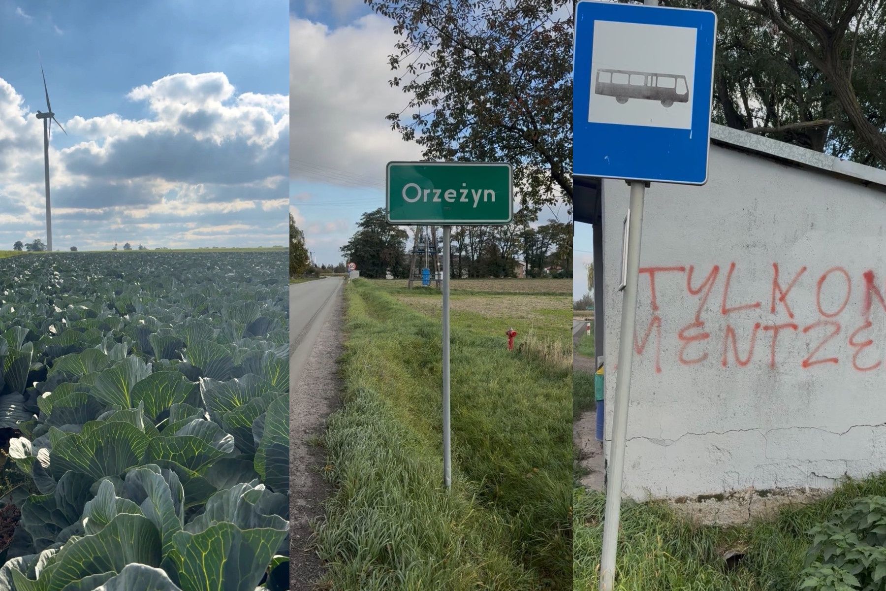 Orzeżyn rodzinna wieś Michała Kołodziejczaka