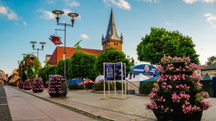 Festiwal Kwiatów 2026 w Czarnkowie - kwiatowy weekend pełen atrakcji