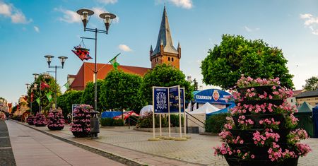 Festiwal Kwiatów 2026 w Czarnkowie - kwiatowy weekend pełen atrakcji
