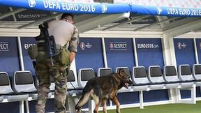 Żołnierze z psami sprawdzają Stade de France przed finałem Euro (galeria)