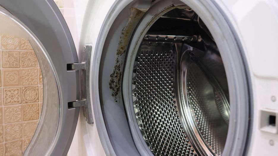 Naturalny detergent