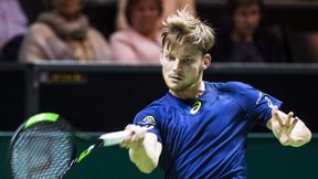 ATP Rotterdam: Goffin w końcu znalazł sposób na Dimitrowa, Herbert pokonał Thiema