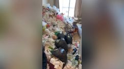 Wysypisko śmieci w mieszkaniu. Sąsiedzi nie mogli wytrzymać smrodu