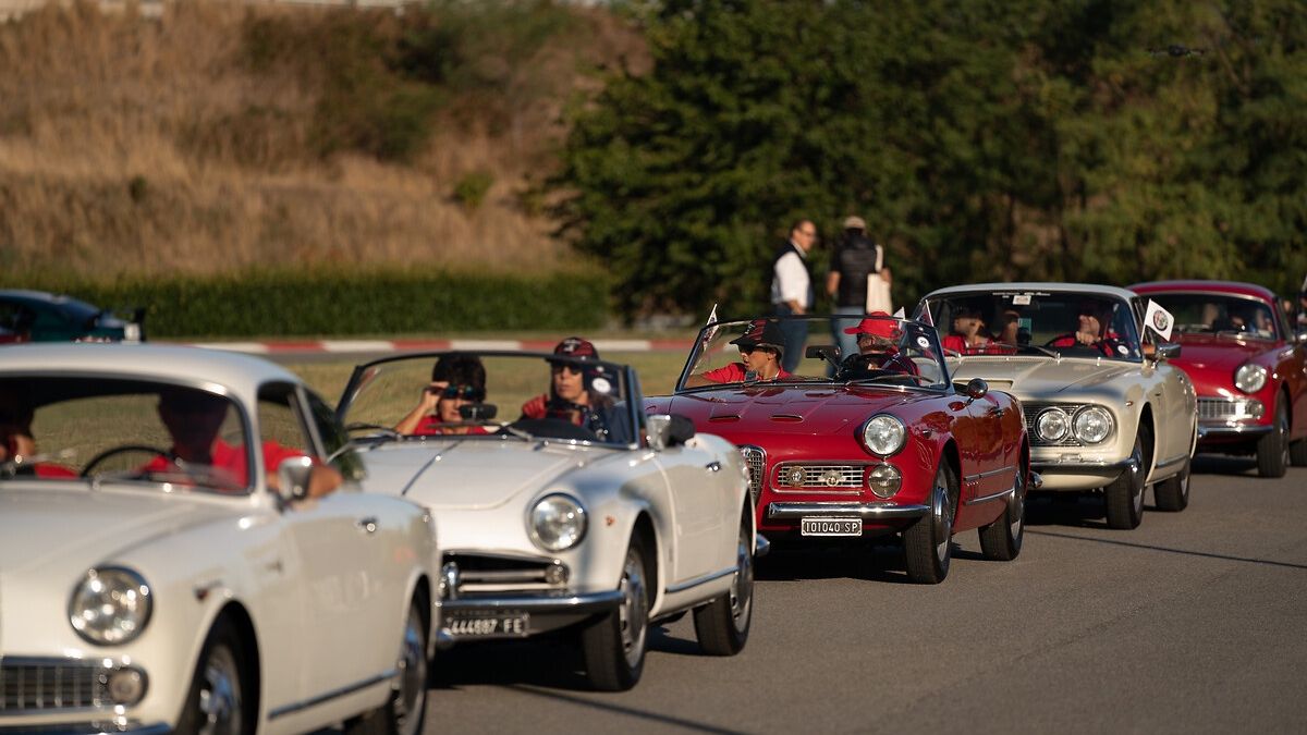 Alfa Romeo Tribe Days
