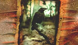 Zawsze warto posłuchać o dawnych ludach