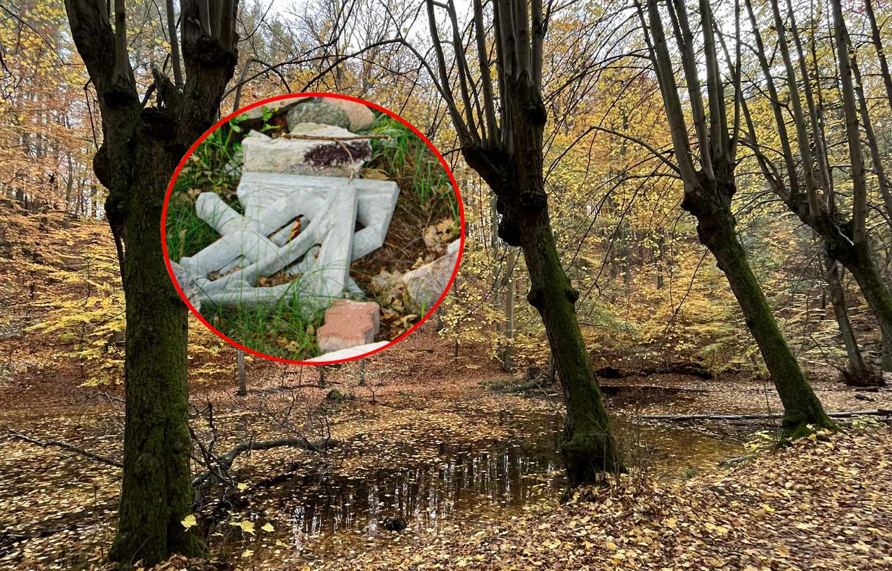 Dolina Elfów zamieniła się w wysypisko. Rajski zakątek polskiego miasta