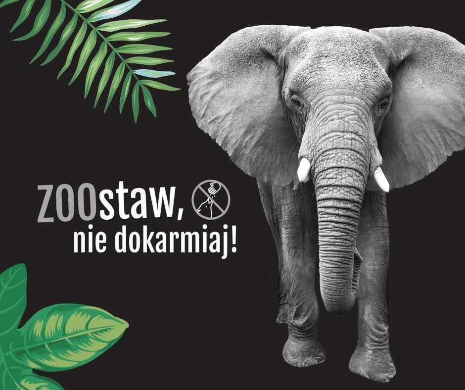 Fot. Licencjodawca