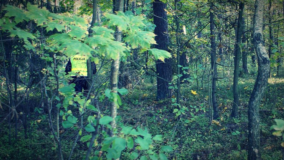 policja