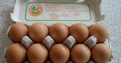 Polska kura znosi coraz więcej jaj