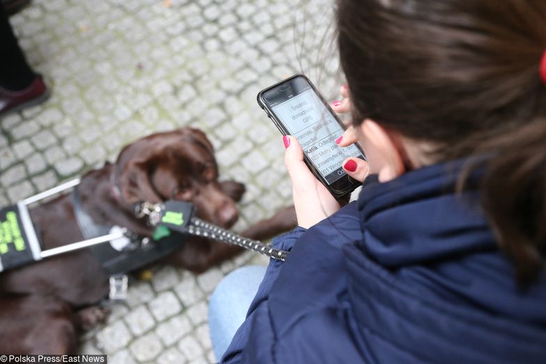 Polskie firmy pracują nad grą dla niewidomych. Na podstawie echa dźwiękowego będą oni w stanie rozpoznać otoczenie