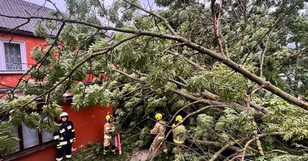 Nawałnice i grad na Lubelszczyźnie. Ponad 310 interwencji strażaków. Połamane drzewa, uszkodzone dachy, zerwane linie energetyczne
