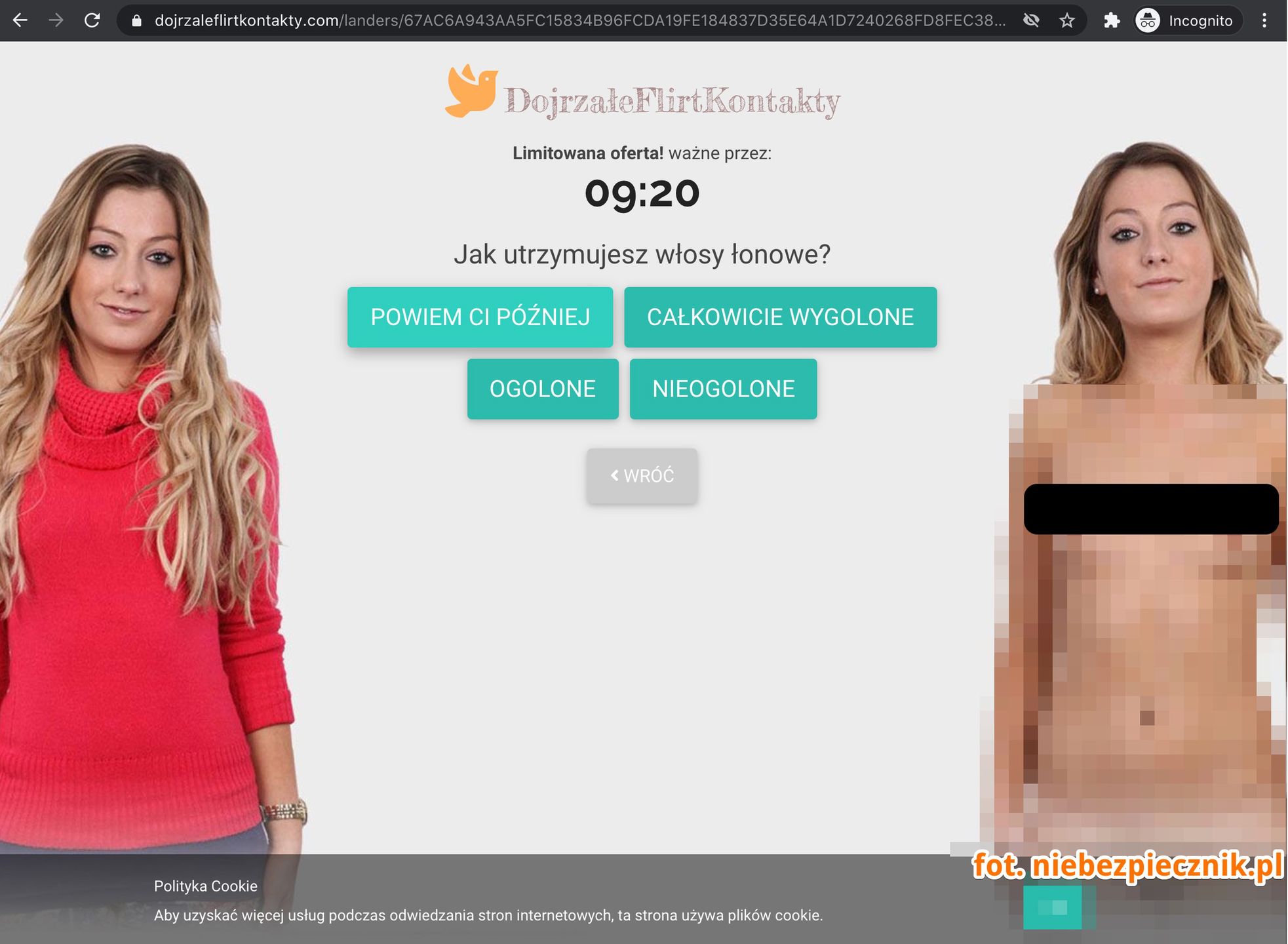 Jedna ze stron docelowych to formularz na stronie służącej rzekomo do flirtów, fot. Niebezpiecznik.