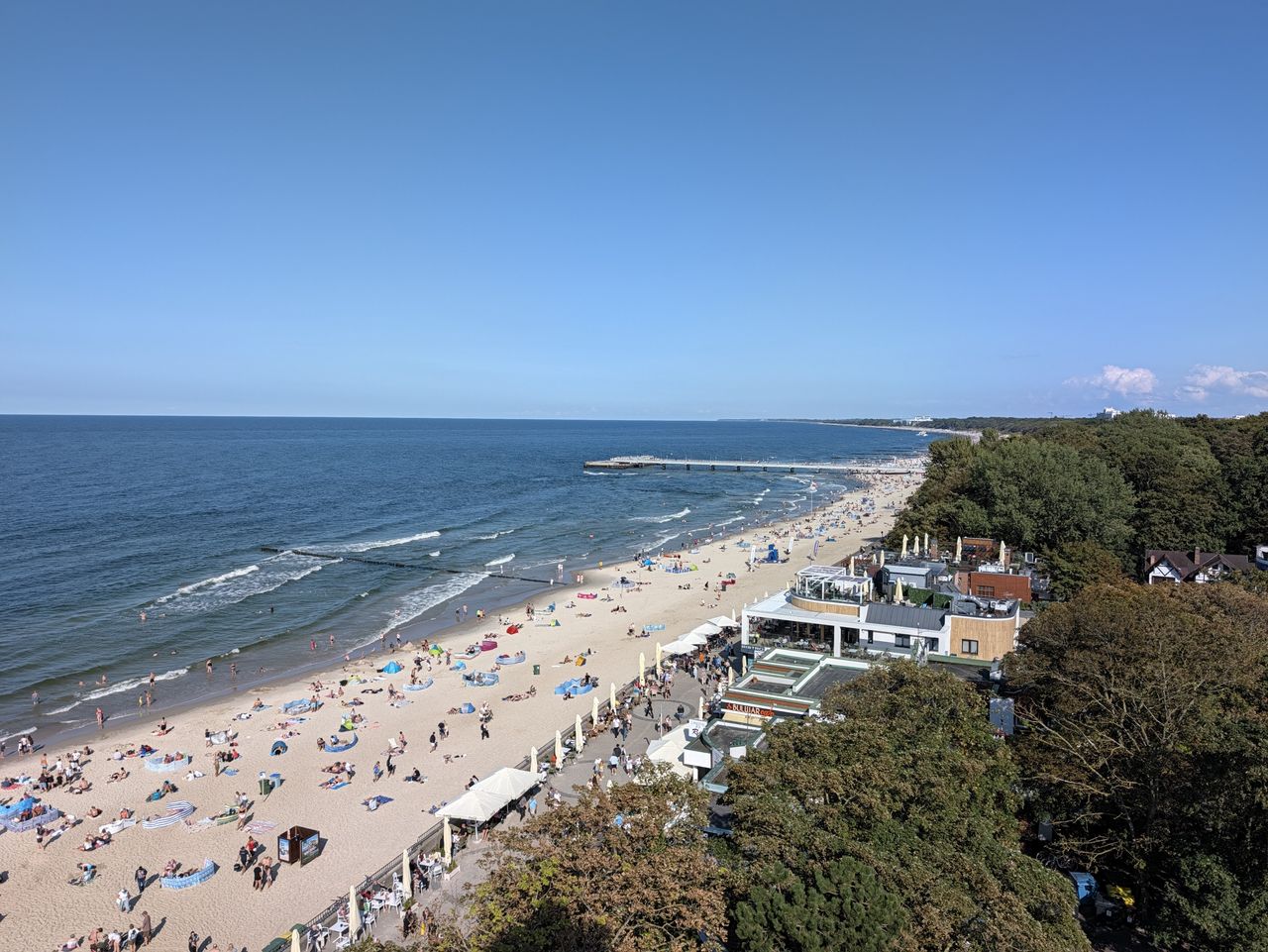 Pixel 11 Pro XL
