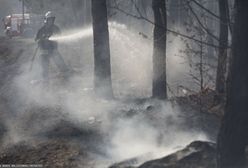 W Brandenburgii płoną lasy. Wybuchła amunicja