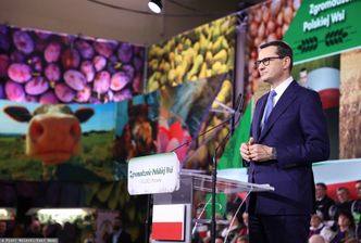 Będzie państwowa sieć sklepów. PiS pisze o tym w programie