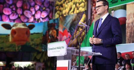 Będzie państwowa sieć sklepów. PiS pisze o tym w programie