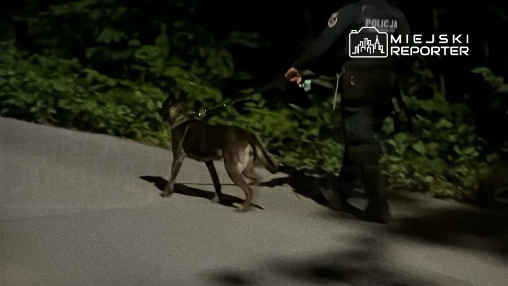 Policjant prowadzi psa służbowego na smyczy w ciemnym otoczeniu, wśród zieleni.