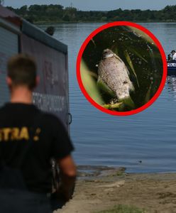 Zakaz wchodzenia do wody przez cały lipiec. Alert RCB