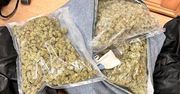 Upolowano 30 kilogramów narkotyków! Znamy szczegóły akcji