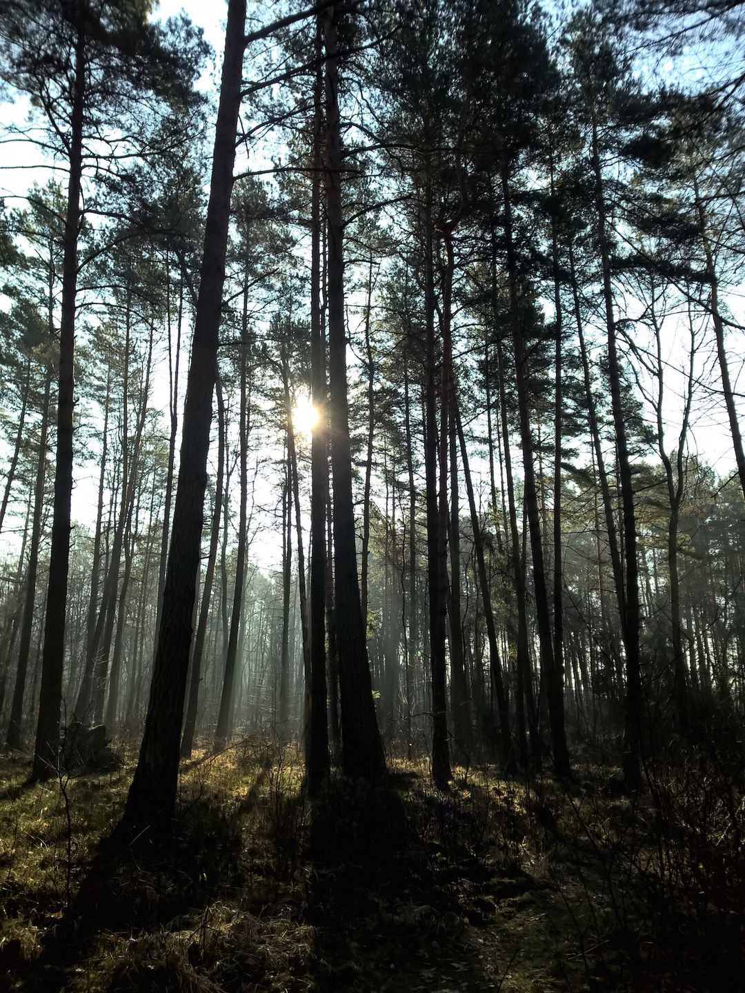 Lumia 930 - test fotograficzny 10