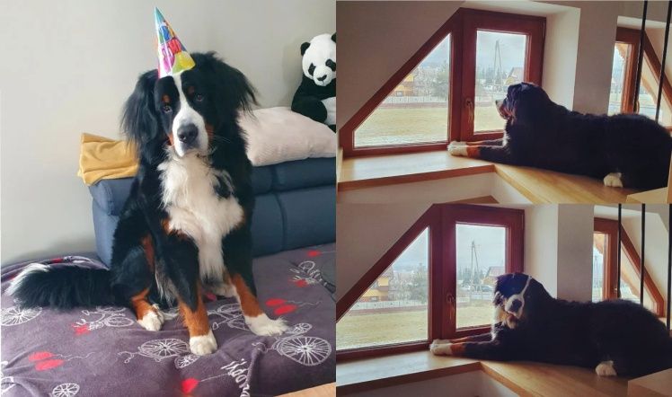 Tak mieszkają Dawid i Marta Kubaccy