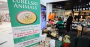 Lublin: Mieszkańcy pomagają zwierzakom w akcji "Karma Wraca"