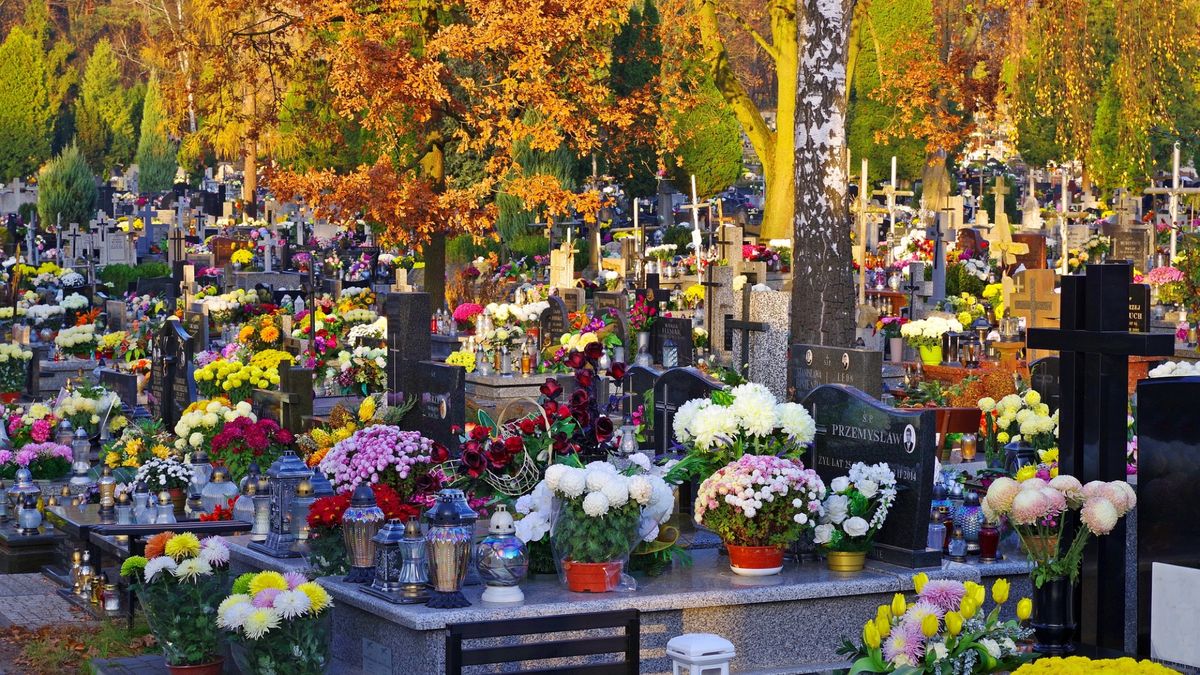 Często trudno jest znaleźć miejsce, w którym leży zmarły. Wyszukiwarka grobów może w tym pomóc.