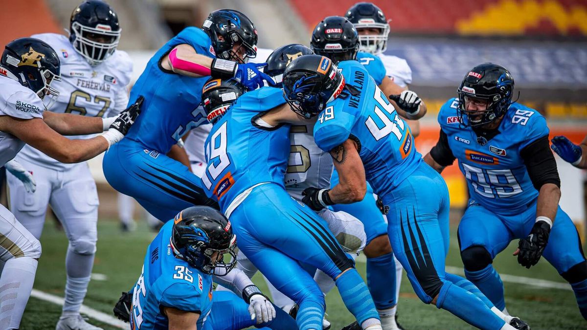 Materiały prasowe / Panthers Wrocław / zawodnicy Panthers Wrocław