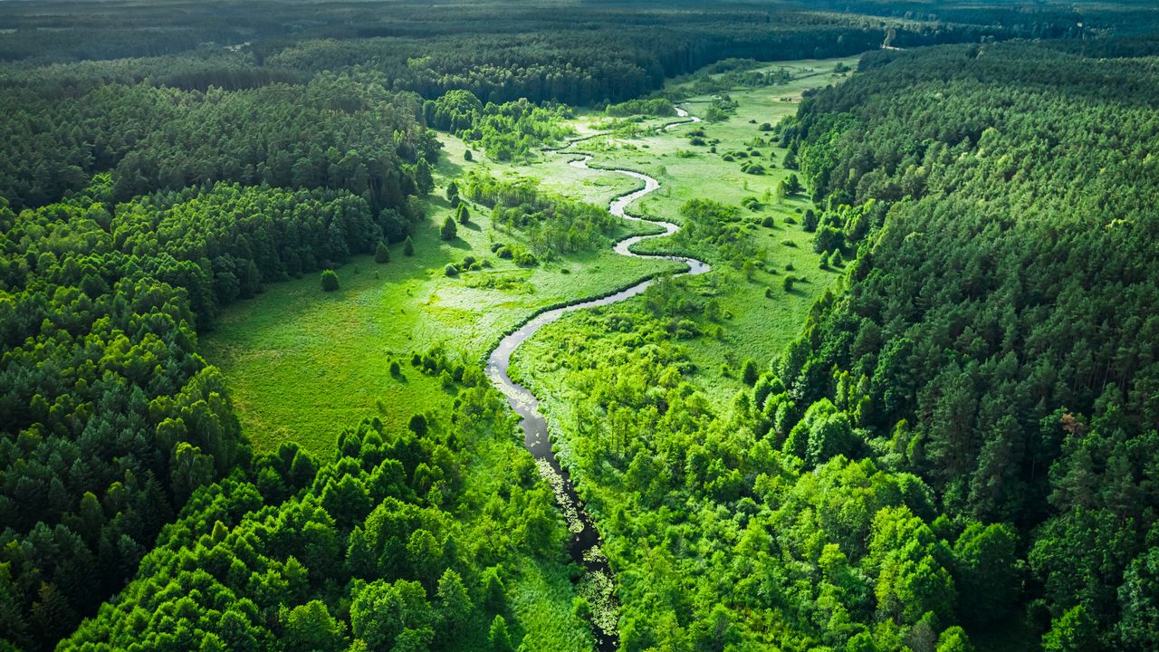 Bory Tucholskie i okolice. Przyrodniczy skarb Polski