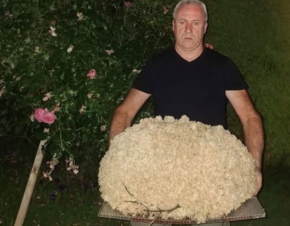 Ważył ponad 15 kg. Grzybiarz nie krył zdziwienia