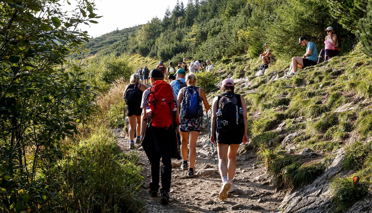 Wielka akcja w Tatrach. Ponure wnioski. Aż 90 proc. to Polacy