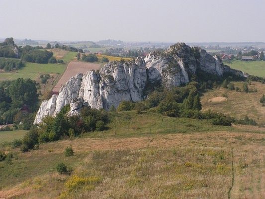 Obraz
