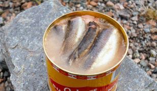 Surströmming - sfermentowane szwedzkie śledzie