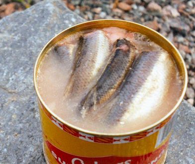 Surströmming - sfermentowane szwedzkie śledzie