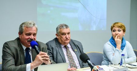 Stadnina koni arabskich w Michałowie. Sąd rozpatrywał sprawę zwolnienia byłego prezesa