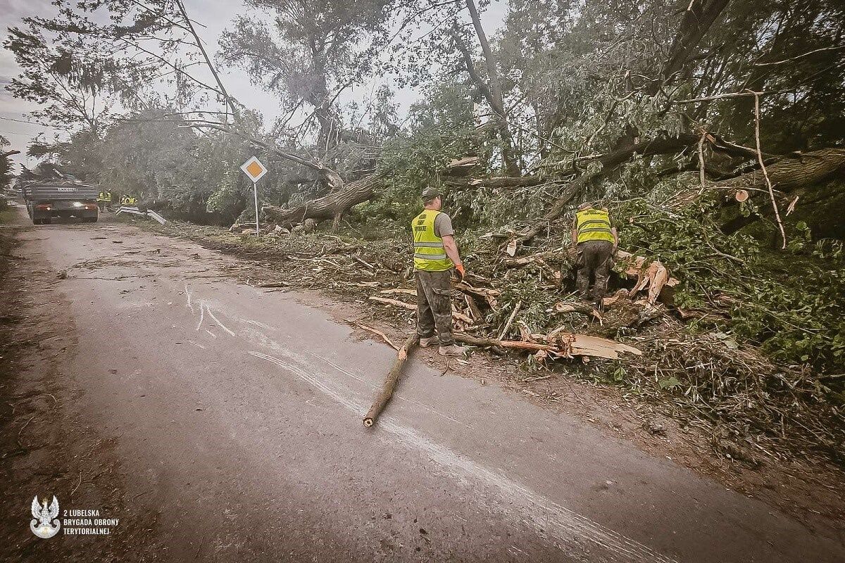 Żołnierze 2 Lubelskiej Brygady OT usuwali wiatrołomy w Kraśniku