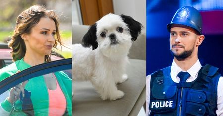 Internauci MIAŻDŻĄ Mikołaja Jędruszczaka: "CYRK! Oddaj Sylwii psa!"