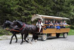 Koniec z fasiągami na Morskie Oko? Posłanka KO: A co się stanie z końmi?