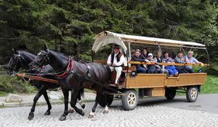 Koniec z fasiągami na Morskie Oko? Posłanka KO: A co się stanie z końmi?