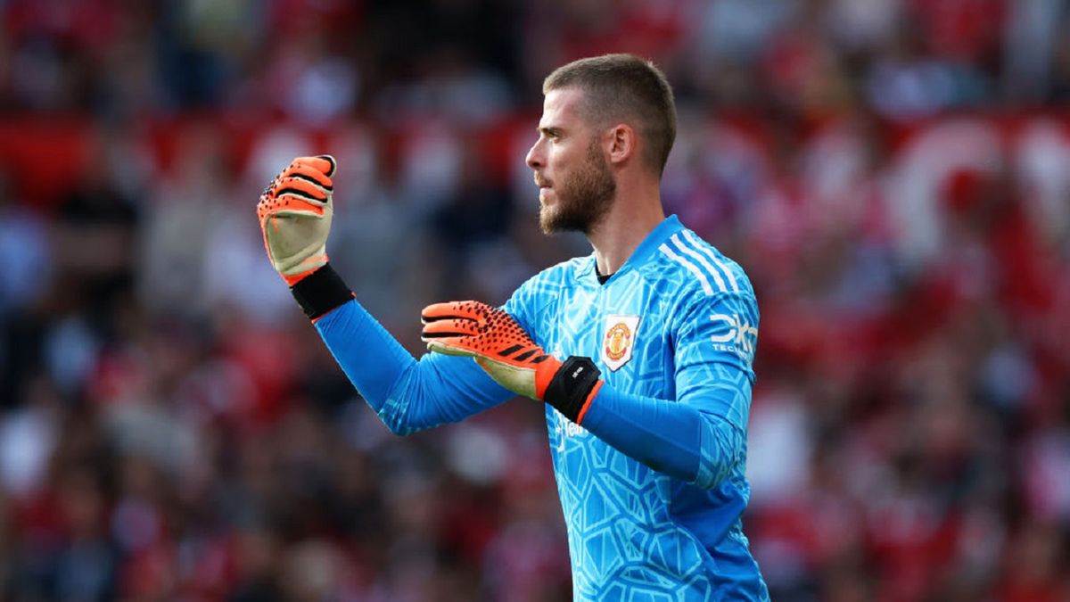 Zdjęcie okładkowe artykułu: Getty Images / Matt McNulty / Na zdjęciu: David de Gea