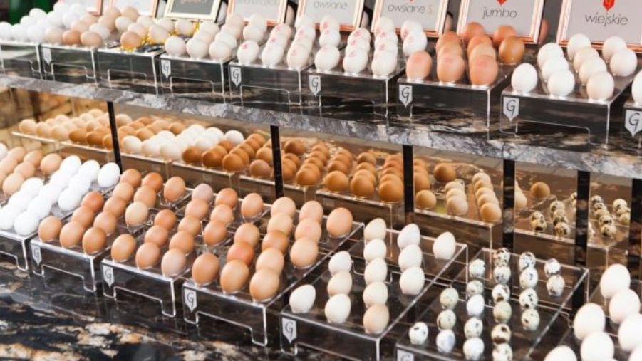 Jajko biodynamiczne z jadalnym złotem kosztują 20 zł za sztukę.