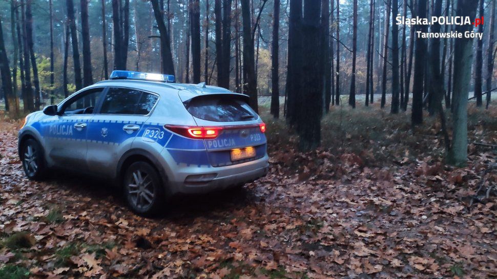 Policja poszukiwała 86-letniego grzybiarza na Śląsku.