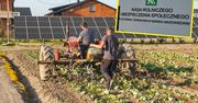 Tyle wynosi najwyższa emerytura rolnicza w Polsce. Ogromne zaskoczenie