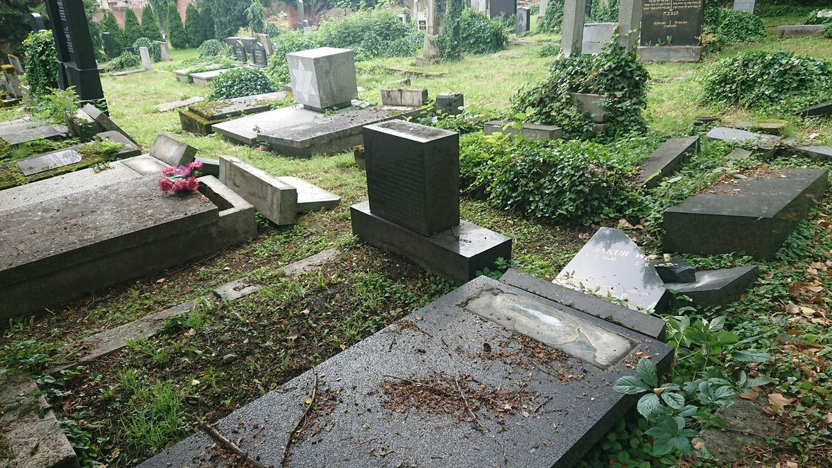 Bielsko-Biała. Można wpłacać pieniądze na odbudowę zdewastowanego cmentarza żydowskiego.
