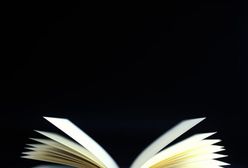20 najlepszych książek 2012 roku - literatura polska