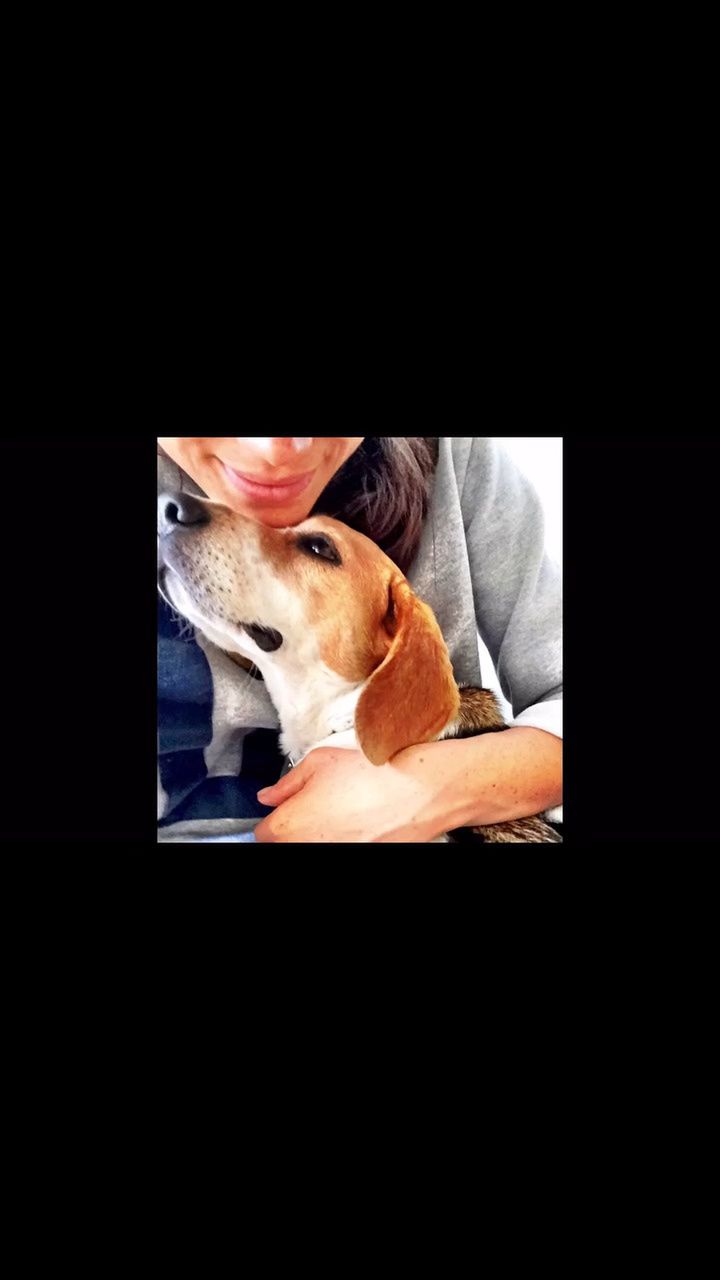 Meghan Markle veröffentlichte ein ergreifendes Video über ihren verstorbenen Hund.