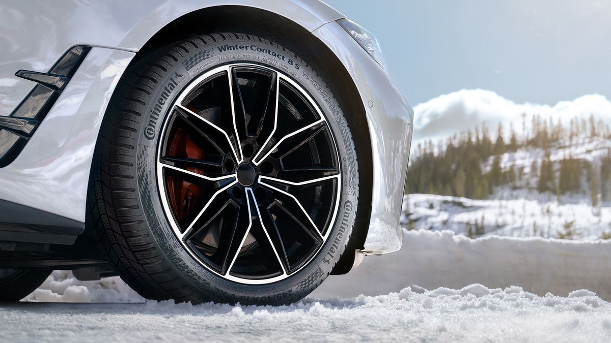 Continental Winter Contact 8S